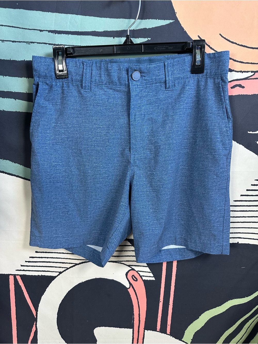 ROWM Shorts in Blue size 30